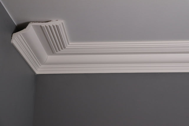 DM1921 Edwardian Coving
