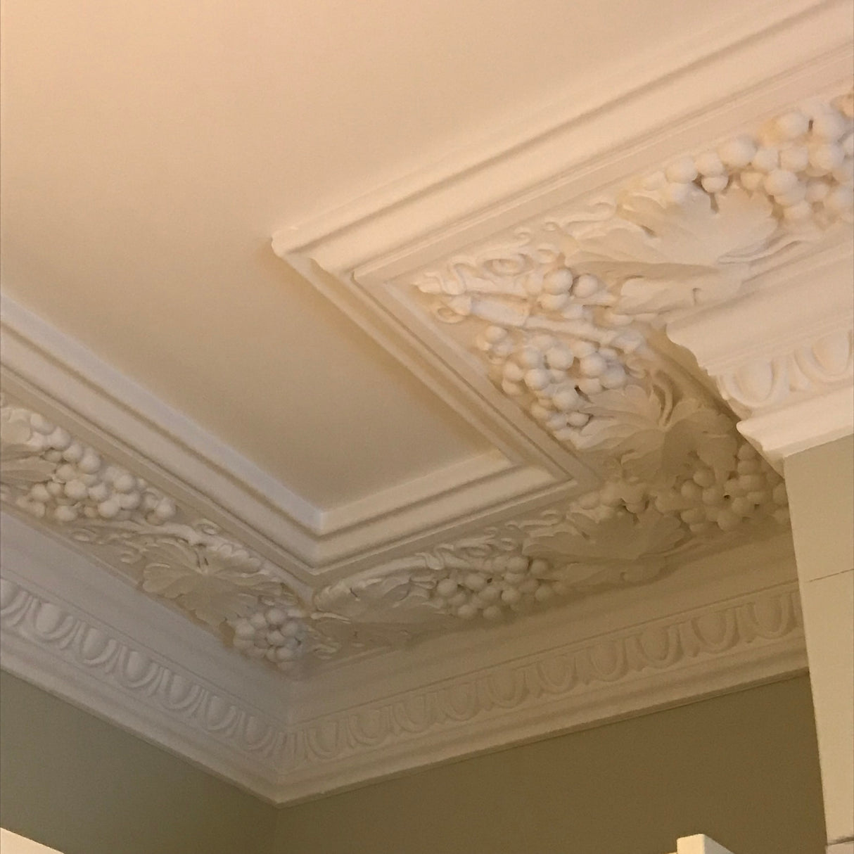 Ornate decorative plaster ceiling cornice with sculpted floral and grapevine motifs, shown installed in an interior room corner.