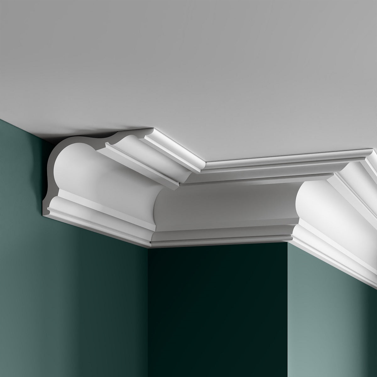 Edwardian Coving & Cornices